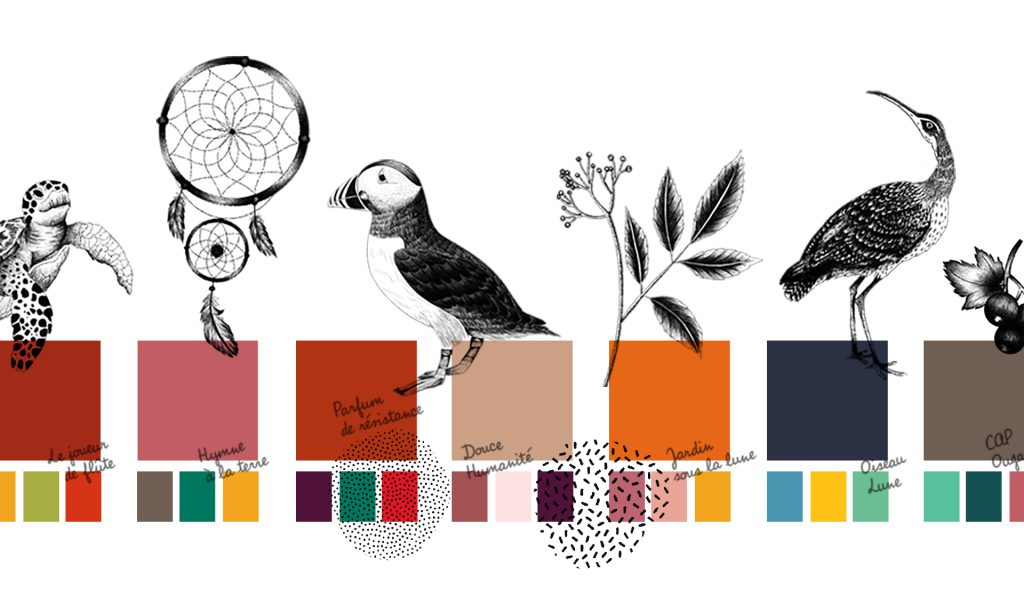 Planche d'illustrations et choix de couleurs créé pour la refonte du packaging des thés militants