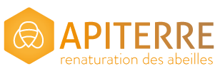 Logo Apiterre, association oeuvrant pour la renaturation des abeilles