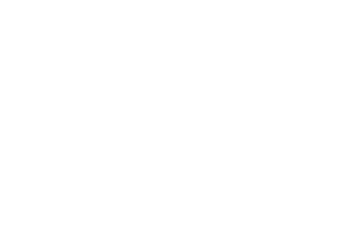 Logo Thierry Schwartz